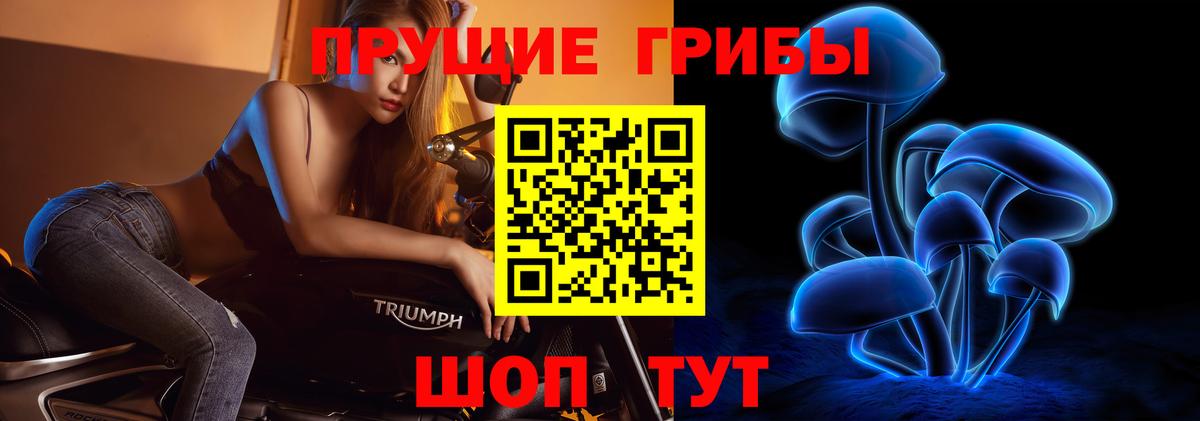 наркота  Вход с VPN  Переславль-Залесский  Псилоцибиновые грибы Magic Shrooms  Псилоцибиновые грибы GOLDEN TEACHER 