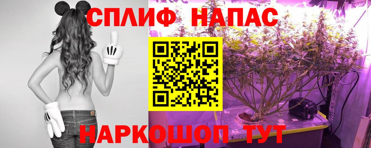 Бошки Шишки MAZAR  Вход с VPN  Канабис семена  Бошки Шишки Amnesia  Переславль-Залесский  Марихуана гибрид 